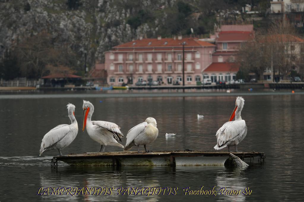 Hotel Kastoria In Kastoria City Dış mekan fotoğraf